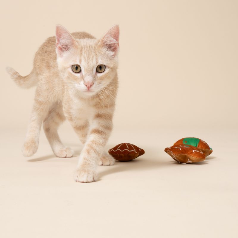 Set TIAKI familia pan de jengibre juguete para gatos