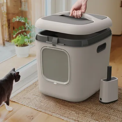 Katzentoilette mit abnehmbarem Deckel, seitlichen Lüftungsschlitzen und integrierter Tür. Enthalten ist eine Reinigungsschaufel in passender Halterung. Katze betrachtet die Toilette.