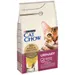 Cat Chow Adult Special Care Urinary Tract Health