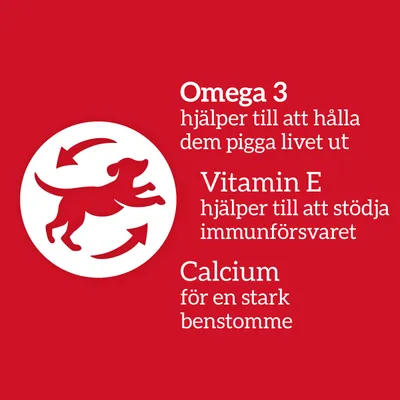 Omega 3 hjälper till att hålla dem pigga livet ut. Vitamin E hjälper till att stödja immunförsvaret. Calcium för en stark benstomme.