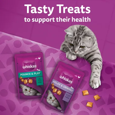 Due bustine Whiskas Pounce & Play e Relax & Unwind da 45 g con snack per gatti, gatto grigio accanto a crocchette. Testo in inglese non presente altrove.