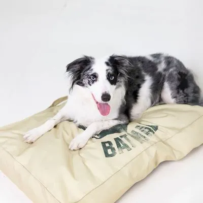 DC Hondenmatras Batman