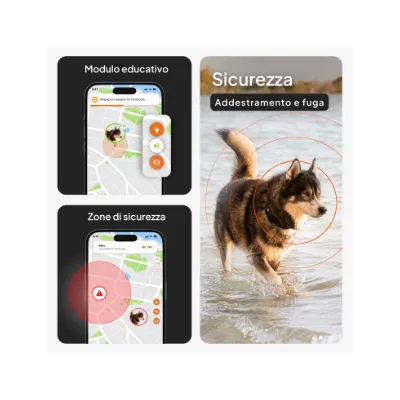 Funzioni di sicurezza: modulo educativo, addestramento e fuga, zone di sicurezza. Due schermi di smartphone con mappe e simboli di avviso, cane con cerchio di sicurezza. Funzioni di sicurezza: modulo educativo, addestramento e fuga, zone di sicurezza. Due schermi di smartphone con mappe e simboli di avviso, cane con cerchio di sicurezza.