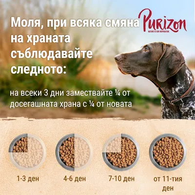 Purizon. Инструкции за смяна на храната: на всеки 3 дни заменяйте ¼ от старата храна с нова. Илюстрация с купички за периоди: 1–3, 4–6, 7–10 и от 11-тия ден.