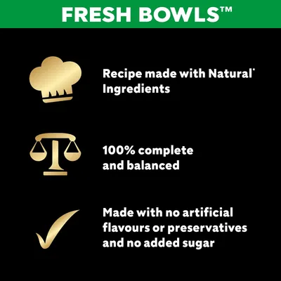 Cesar Fresh Bowls in Gravy Mixed Selection - 24 x 85g Cesar Fresh Bowls in Gravy Mixed Selection - 24 x 85g