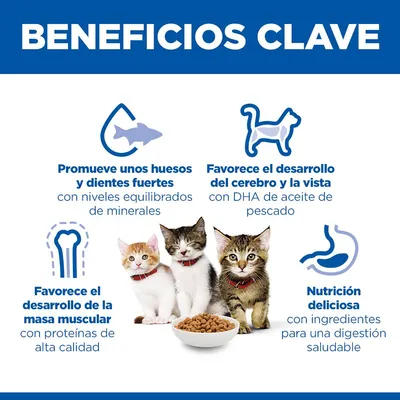 Hill's Science Plan Kitten <1 pollo