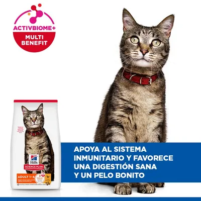 Hill's Science Plan Adult 1-6 pollo