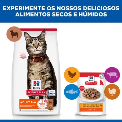 Hill's Science Plan Adult cordeiro e arroz
