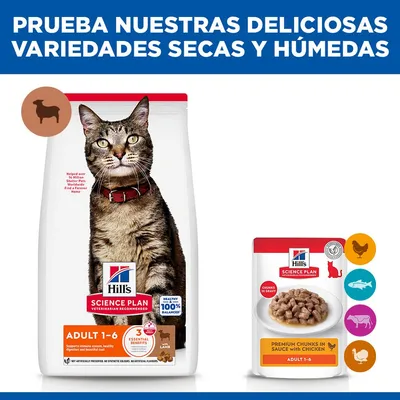 Hill's Science Plan Adult cordero y arroz