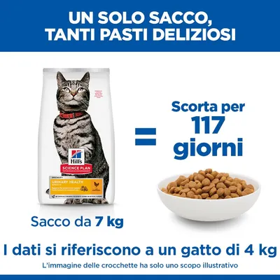 Hill's Science Plan Urinary Health Adult 1+ con Pollo