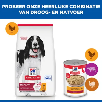 Hill's Science Plan Adult 1-6 Medium met Kip Hondenvoer