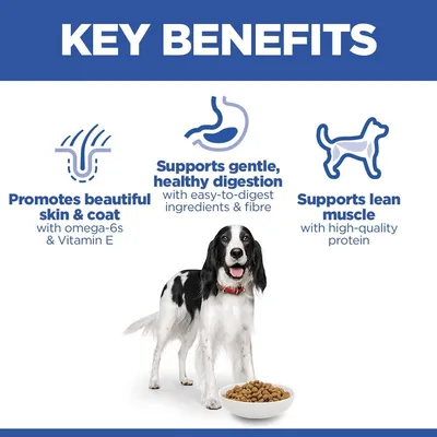 Hill’s Science Plan Adult 1-6 Medium with Chicken