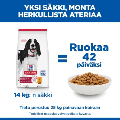 Hill's Science Plan Adult 1–6 Medium kana Hill's Science Plan Adult 1–6 Medium kana