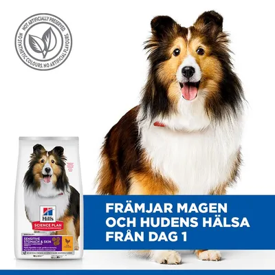 Hill's Science Plan Sensitive Stomach & Skin Adult 1 + Medium Chicken