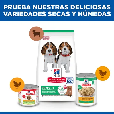 Hill's Science Plan Puppy <1 Medium con cordero y arroz