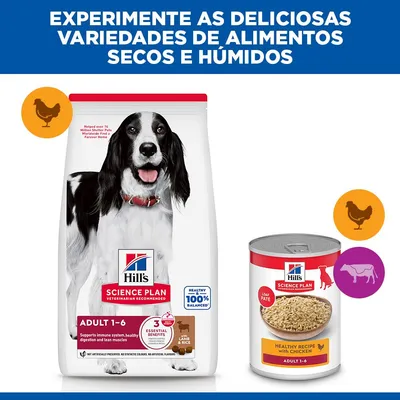 Hill's Science Plan Adult 1-6 Medium com cordeiro e arroz