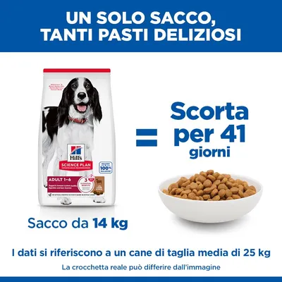 Hill's Science Plan Adult 1-6 Medium con Agnello e Riso