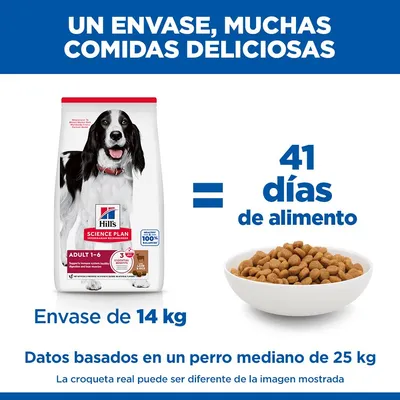 Hill's Science Plan Adult 1-6 Medium con cordero y arroz