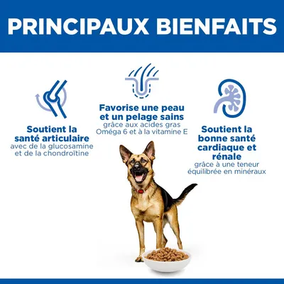 Hill's Science Plan Mature Adult 6+ Large poulet