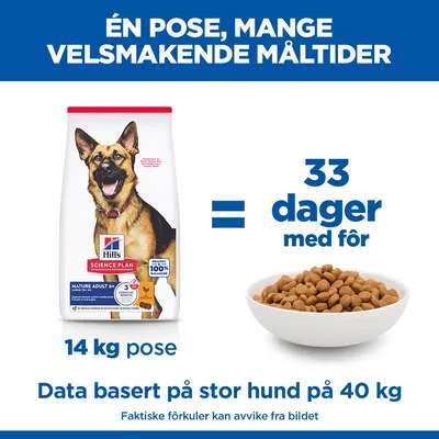 Hill's Science Plan Mature Adult 6+ Large med kylling