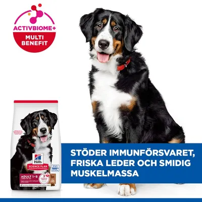 Hill's Science Plan Adult 1-5 Large Lamb & Rice