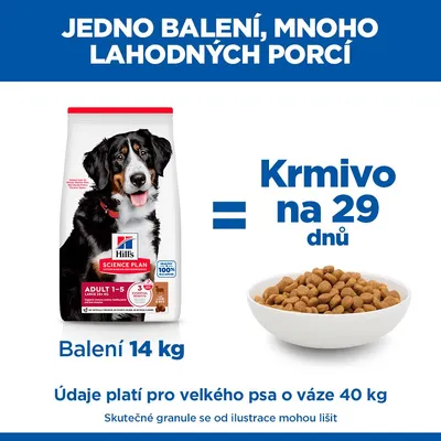 Hill's Science Plan Adult 1-5 Large jahňacie a ryža