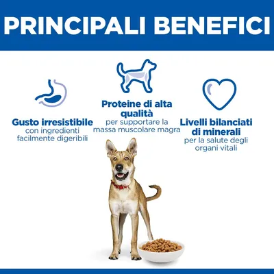 Hill's Science Plan Adult 1+ Performance con Pollo