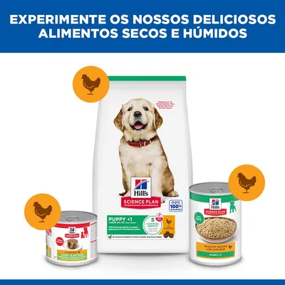 Hill's Science Plan Puppy <1 Large com frango