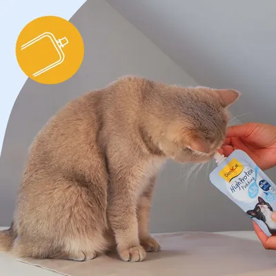 GimCat Puding macskáknak