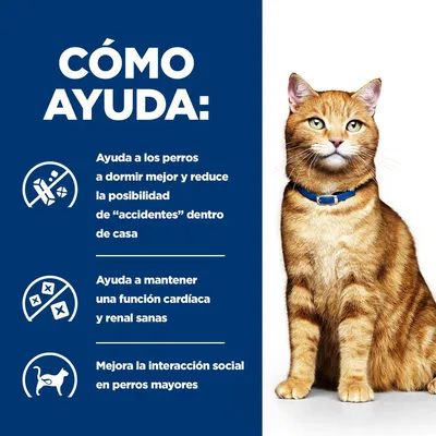 Hill's Prescription Diet c/d con pollo Urinary Care pienso para gatos