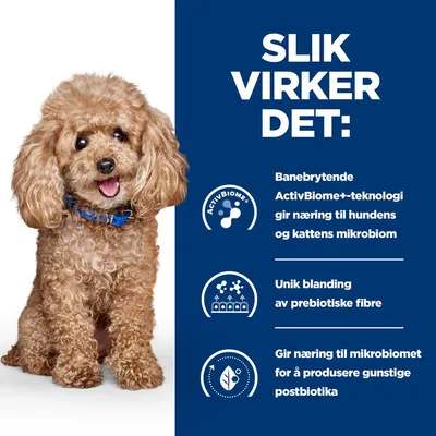Hill's Prescription Diet Gastrointestinal Biome Mini tørrfôr til hunder med kylling