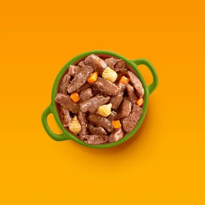 Schüssel mit Fleischstücken, Karotten und Nudeln in Soße, präsentiert auf orangefarbenem Hintergrund.