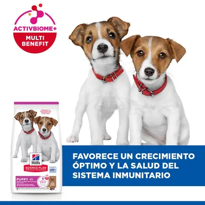 Hill`s Science Plan Puppy Small & Mini cordero y arroz Hill`s Science Plan Puppy Small & Mini cordero y arroz