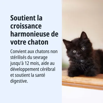 Favorise une croissance harmonieuse des chatons non stérilisés jusqu'à 12 mois, soutient le développement cérébral et la santé digestive. Favorise une croissance harmonieuse des chatons non stérilisés jusqu'à 12 mois, soutient le développement cérébral et la santé digestive.