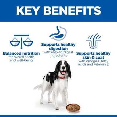 Hill's Science Plan Adult 1 - 6