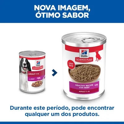 Hill's Science Plan Adult