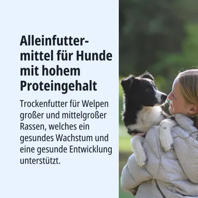 Alleinfuttermittel für Hunde mit hohem Proteingehalt. Trockenfutter für Welpen großer und mittelgroßer Rassen, unterstützt gesundes Wachstum und Entwicklung. Alleinfuttermittel für Hunde mit hohem Proteingehalt. Trockenfutter für Welpen großer und mittelgroßer Rassen, unterstützt gesundes Wachstum und Entwicklung.