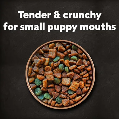 Cesar Junior with Chicken, Rice & Vegetables