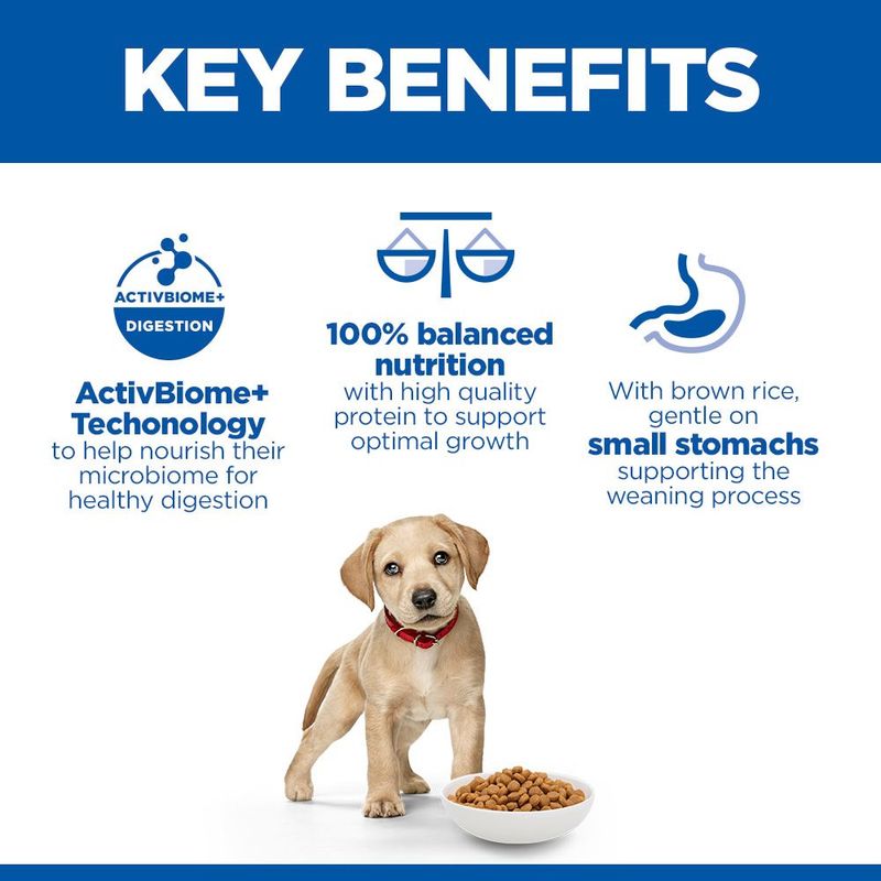 Hill's Science Plan Perfect Digestion Puppy Large csirke & barna rizs