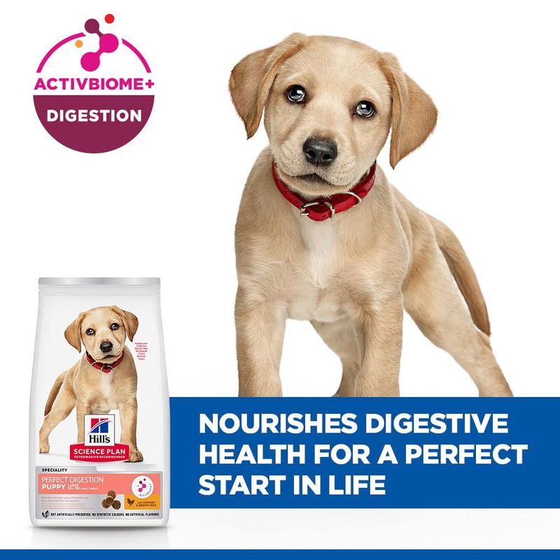 Hill's Science Plan Perfect Digestion Puppy Large csirke & barna rizs
