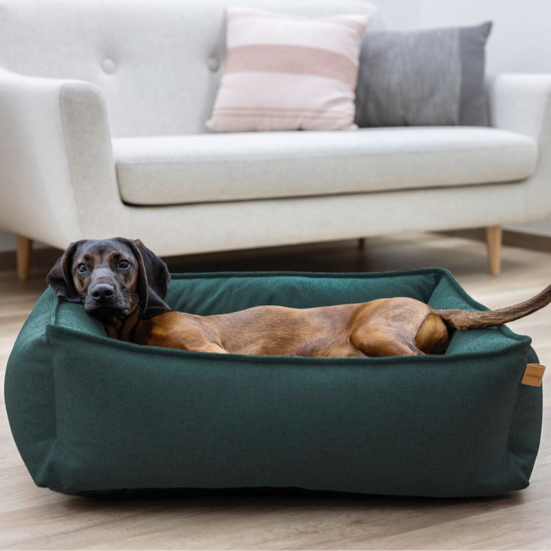Kerbl Pet Kuschelbett Oliver