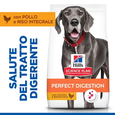 Hill's Science Plan Perfect Digestion Adult Large con Pollo e Riso