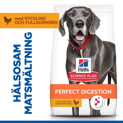 Hill's Science Plan Perfect Digestion Adult Large Chicken & Brown Rice Hill's Science Plan Perfect Digestion Adult Large Chicken & Brown Rice