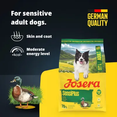 Josera SensiPlus cu rață, pentru câini adulți sensibili. Calitate germană. Pentru piele și blană, nivel moderat de energie, 79% proteină animală. Josera SensiPlus cu rață, pentru câini adulți sensibili. Calitate germană. Pentru piele și blană, nivel moderat de energie, 79% proteină animală.