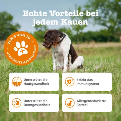 Zesty Paws Senior Allergy & Immunity Lachs