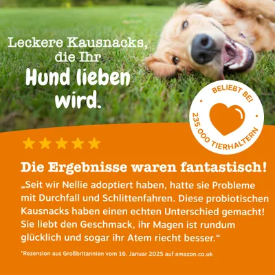 Zesty Paws Probiotic Chews Kürbis