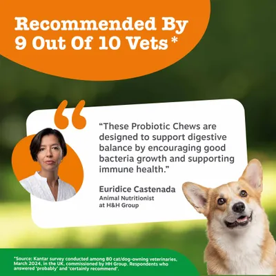 Zesty Paws Probiotic Chews Digestion - Pumpkin - dog supplements - 50 Chews Zesty Paws Probiotic Chews Digestion - Pumpkin - dog supplements - 50 Chews