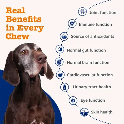 Zesty Paws Senior Advanced 9-in-1 Chews -Turkey - dog supplements - 50 Chews