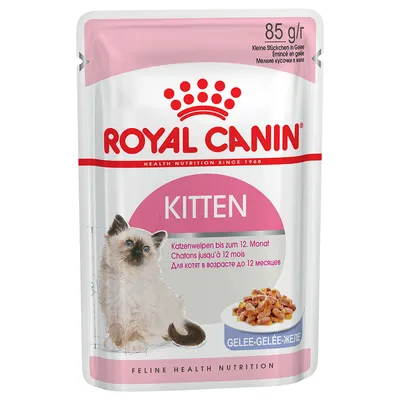 Royal Canin Kitten, Katzenwelpen bis zum 12. Monat, kleine Stückchen in Gelee, 85 g Packung.