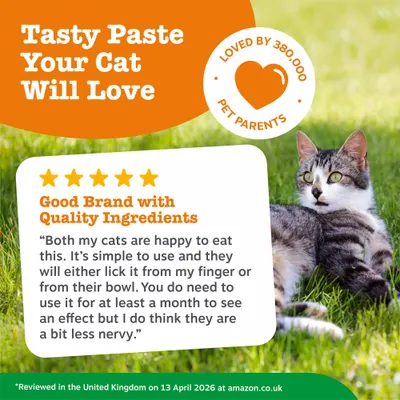 Tasty Paste Your Cat Will Love. Rated by 380,000 pet owners. 5 stars. Good brand with quality ingredients. Customer feedback on easy application and effectiveness. Tasty Paste Your Cat Will Love. Rated by 380,000 pet owners. 5 stars. Good brand with quality ingredients. Customer feedback on easy application and effectiveness.